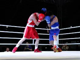 拳击季后赛掀起高潮,塞北雷豹队强势横扫闽南雄狮队,老将里程碑之夜——门前嗅觉决定胜负 拳击季后赛掀起高潮,塞北雷豹队强势横扫闽南雄狮队,老将里程碑之夜——门前嗅觉决定胜负