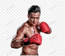 拳击季后赛掀起高潮,塞北雷豹队强势横扫闽南雄狮队,老将里程碑之夜——门前嗅觉决定胜负 拳击季后赛掀起高潮,塞北雷豹队强势横扫闽南雄狮队,老将里程碑之夜——门前嗅觉决定胜负